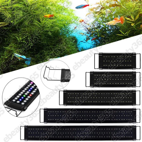 115cm aquarium fish - fish, tank