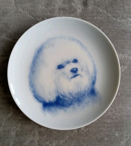 Natalia mitlina bichon frise - natalia,