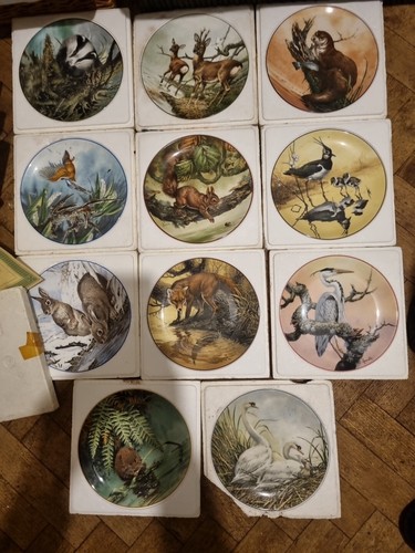 Wedgewood bone china - ,