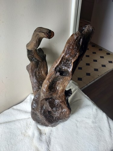 Large driftwood root - driftwood,