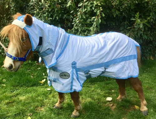 Mini shetland small - mini, shetland/shetland/small