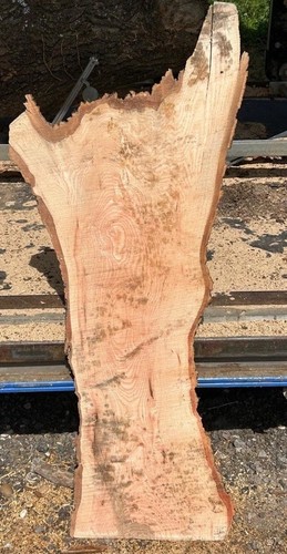 Live edge ash - edge, timber