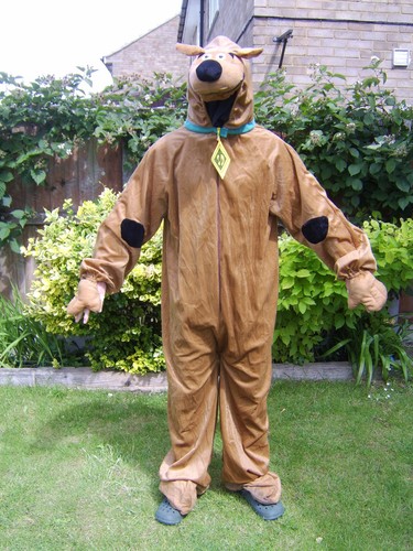 Scooby doo adult - scooby,