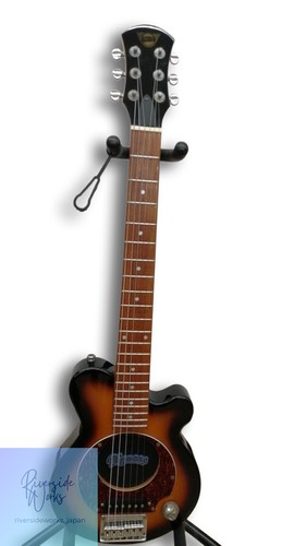 Pignose pgg 200 amplified - pgg-200,