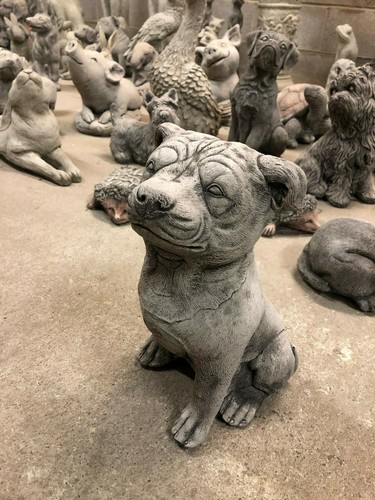Staffordshire bull - staffordshire,