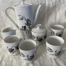 WINTERLING Bavaria Black Tulip