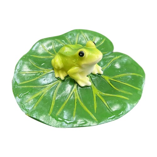 Floating water lily leaf - lily,