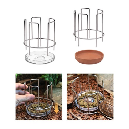 Turtle feeding dish - turtle,