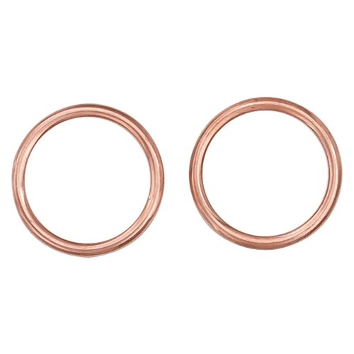Exhaust pipe gasket for - pipe,