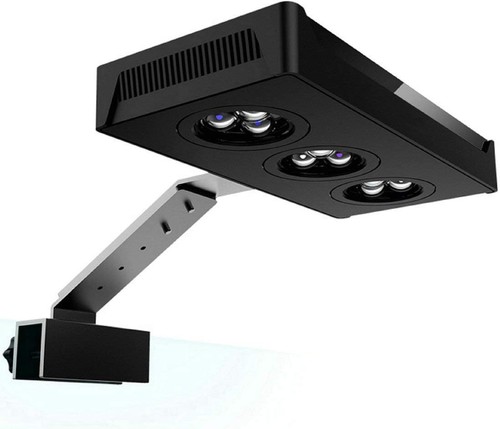 Aquarium light 3rd - aquarium,
