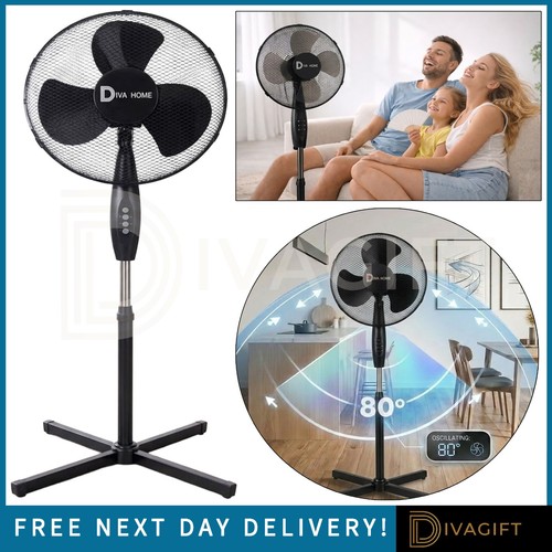 Black pedestal fan - pedestal,