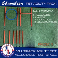 Dog  Agility JUMP Training Pet Equipment Backyard Starter Outdoor Course Set