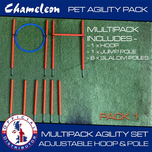 Dog agility jump - agility, pet