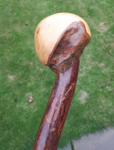 Blackthorn walking stick - blackthorn, stick.