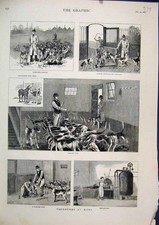 Original Old Antique Print