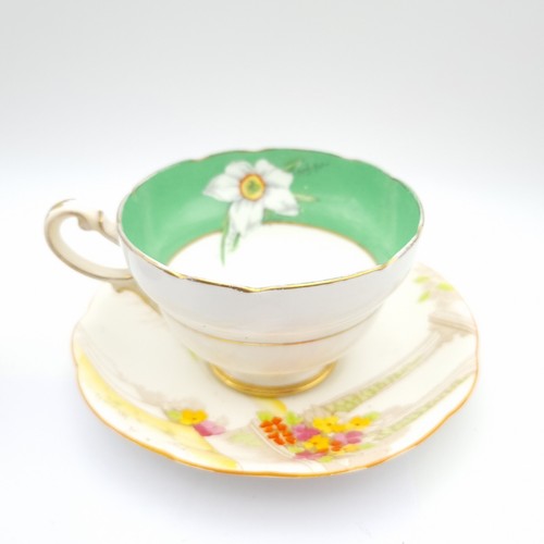 Paragon fine bone - fine, china