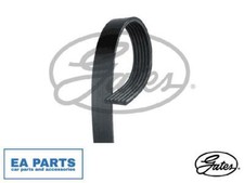 Ribbed belts for renault - belts,