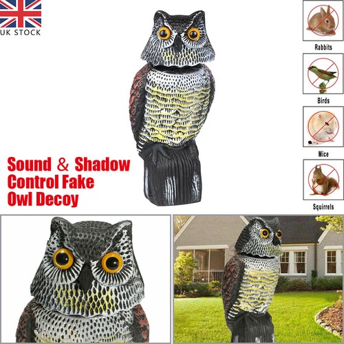 360 rotating real - owl, decoy