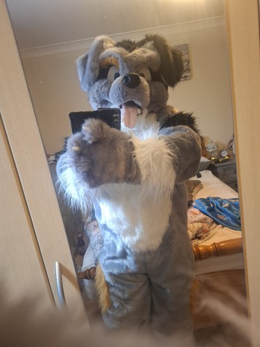 Full fursuit size - full,