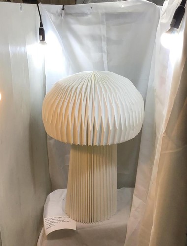 White paper mushroom - white,