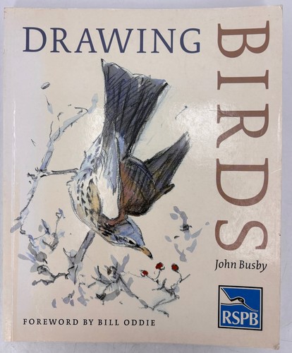 Drawing birds john busby - drawing,