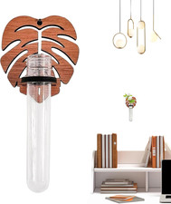 Wall Mounted Vase - Hangable