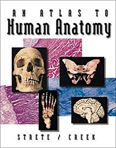 Atlas human anatomy - an, by