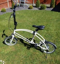 Black and White Bigfish