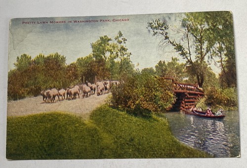 Vintage postcard pretty lawn - postcard,