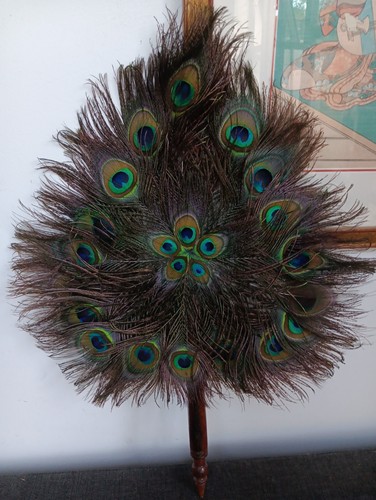 Vintage double sided peacock - sided,