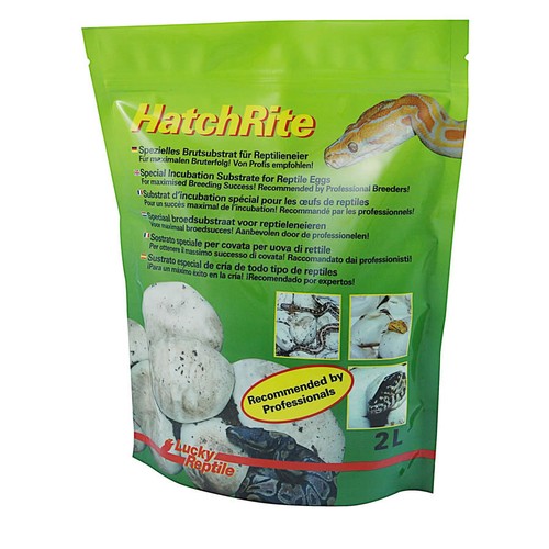 Lucky reptile hatchrite egg - lucky,