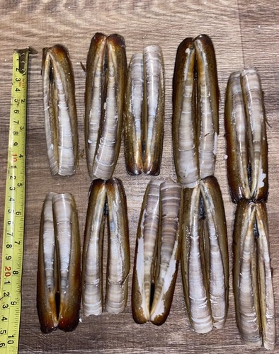 Collection of natural - x,