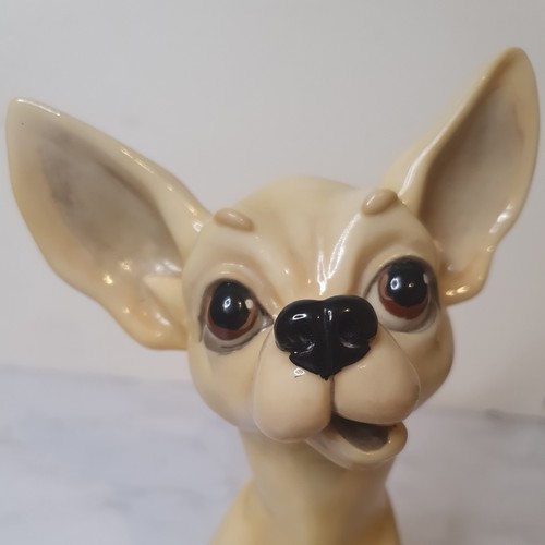 Little paws pixie - little, chihuahua