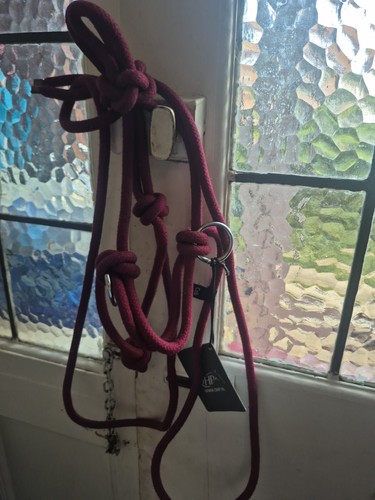 Rope halter with - rope, rein