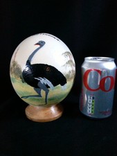 Genuine Hand Painted Ostrich