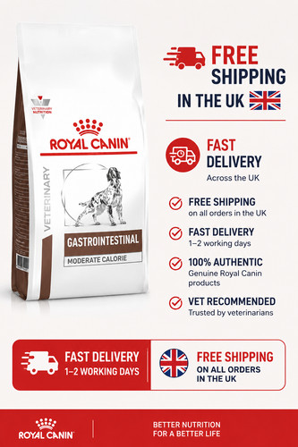 Royal canin gastro intestinal - gastro,