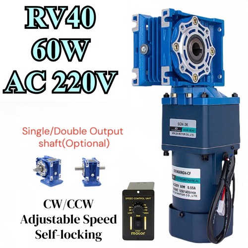 60w 1rpm 5rpm 220v two - 0.1rpm,