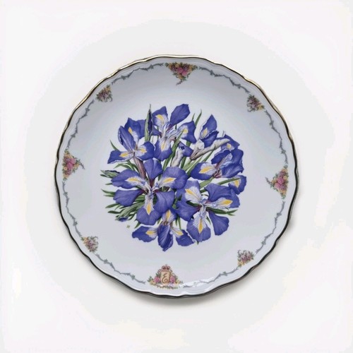 Royal albert irises - royal, “irises”