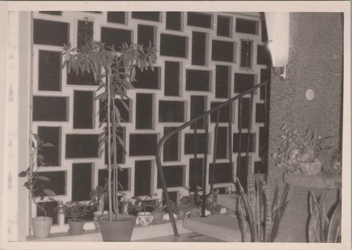 1964 photo stair hall - 1964,