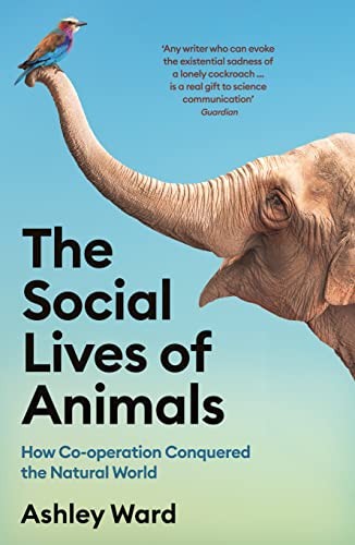 The social lives animals - social, of
