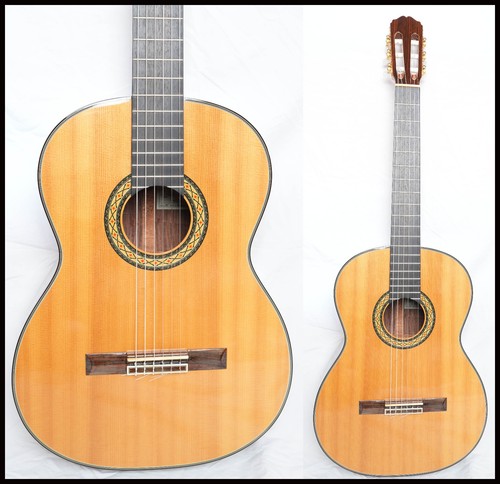 Takamine japanese - no.10,