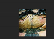 Veranda Culture – Veranda