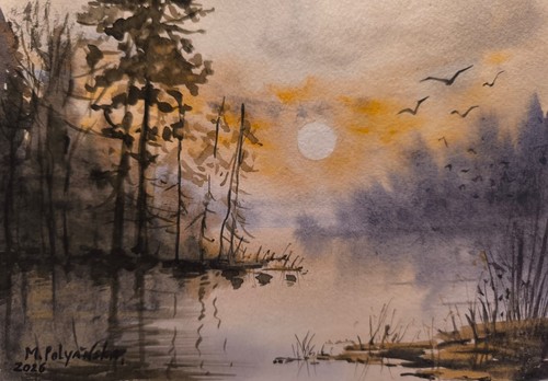 Berd foggy forest - foggy,