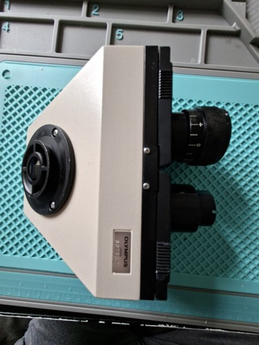 Olympus microscope binocular - olympus,