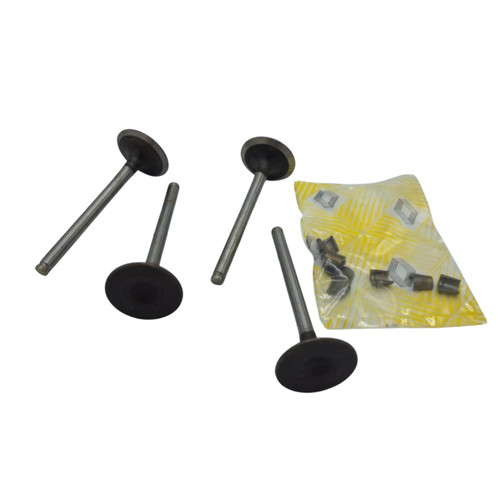Set intake valves renault - set,