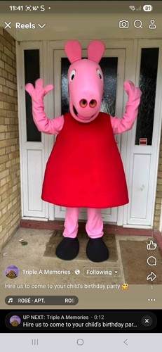 Peppa pig mascot costume - peppa,