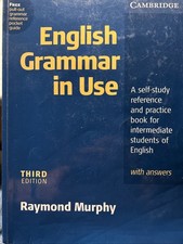 English Grammar In Use Raymond