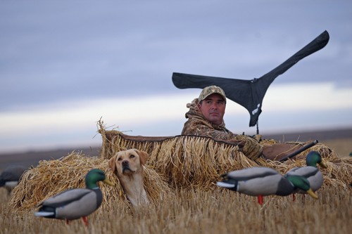Goose decoy ghg - decoy, flag