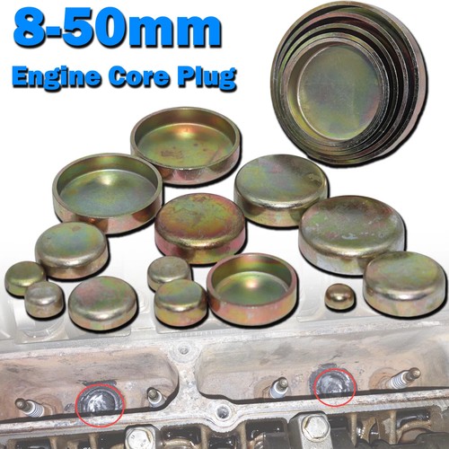 Engine seal plug - seal, frost