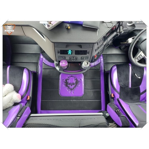 Floor mats for - daf, 106/
